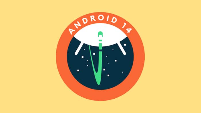 Cross-device compatibility