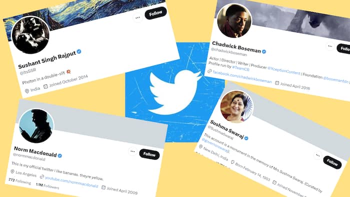 twitterblue