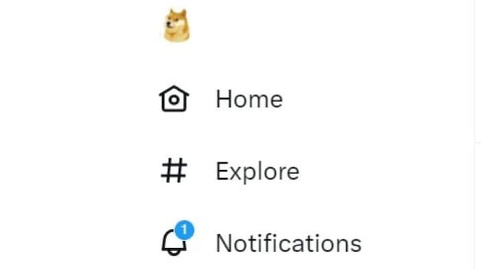 twitterdoge