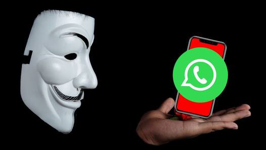 New Twitter CEO, WhatsApp scams, AI everywhere and more: This week in tech