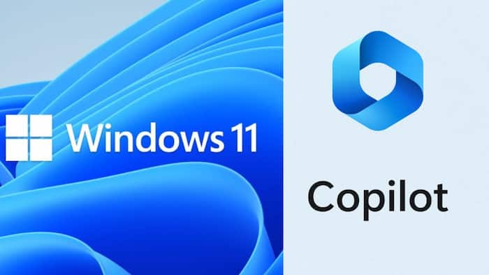 Windows 11