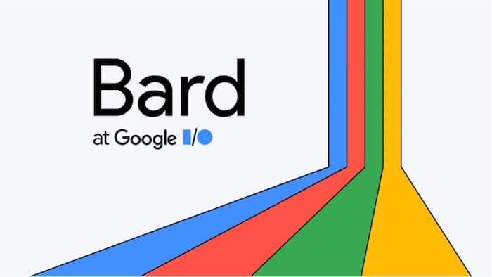 google bard