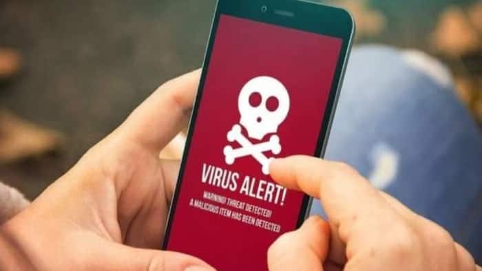virus