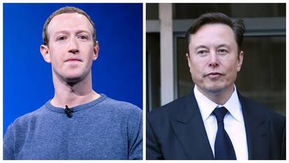 Elon Musk, Mark Zuckerberg are gearing up for a cage fight: Here's how it all started
