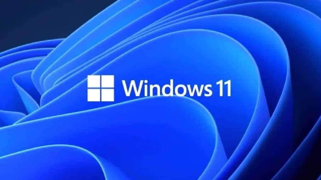 windows 11