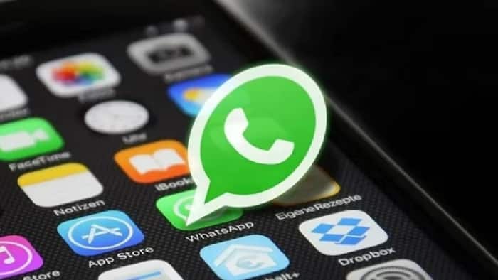 WhatsApp (5)