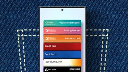 Samsung Wallet users can now save personal IDs, documents