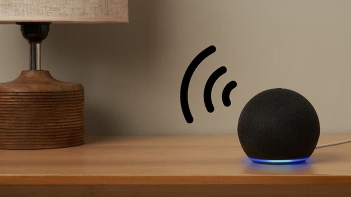 Alexa Multilingual mode