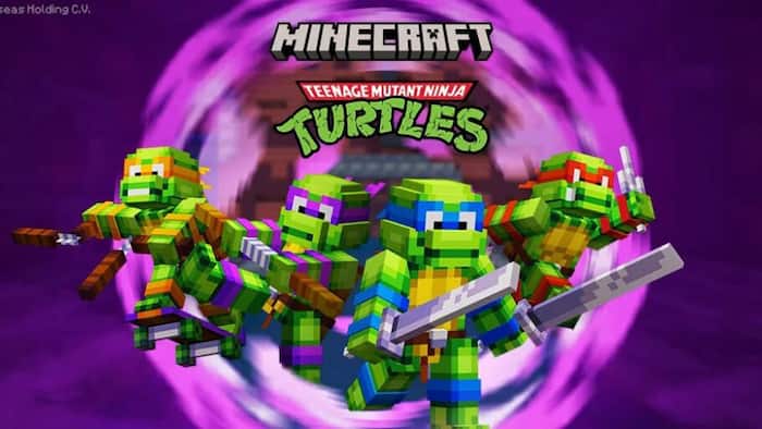 Ninja Turtles