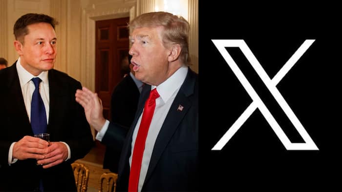 Trump-Musk-X
