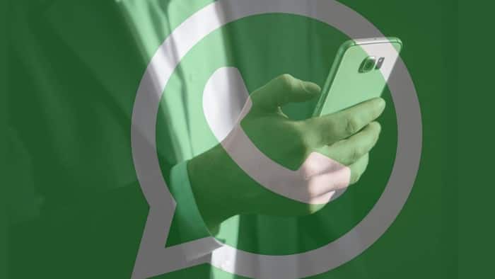 WhatsApp is planning to add more features to both Android and iOS apps.