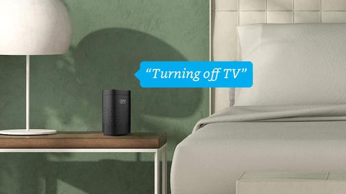 ZEBRONICS Zeb-Smart Bot 5W Wi-Fi Smart Speaker