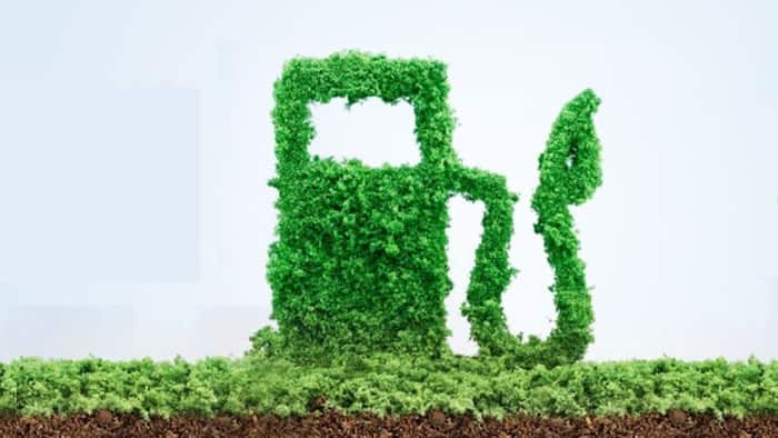 Ethanol fuel is made of ethanol and petrol