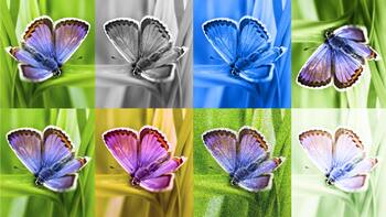 Google is making it easy to tell AI-generated images apart