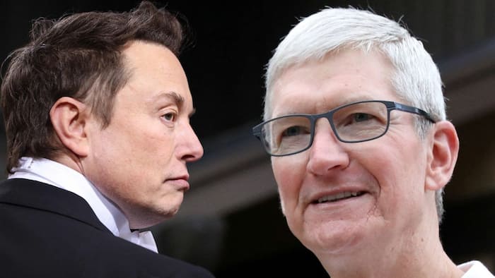 Elon Musk has joined the debate on Apple's new App Store changes.