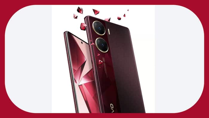 vivo (3)