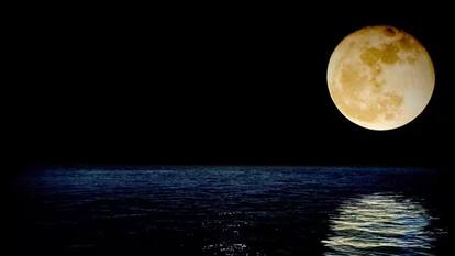August Blue Moon: क्या होता है ब्लू सुपरमून, कब देख सकते हैं आप? जानें इससे जुड़ी हर एक बात
