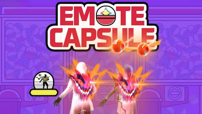 Emote-Capsule