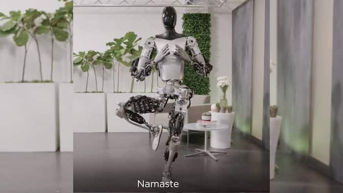 This Tesla humanoid can perform yoga and greet namaste.