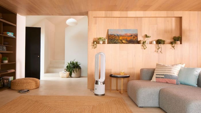 Dyson