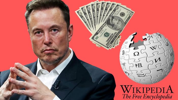 Elon Musk took a dig at Wikipedia.