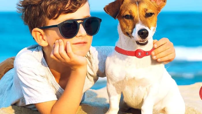 Pets trackers