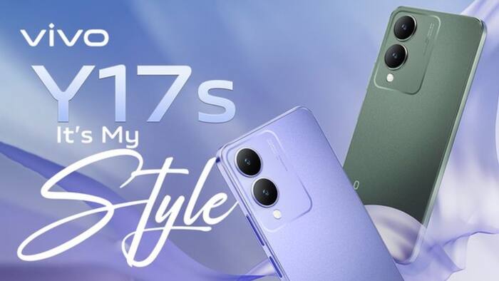 Vivo Y17s