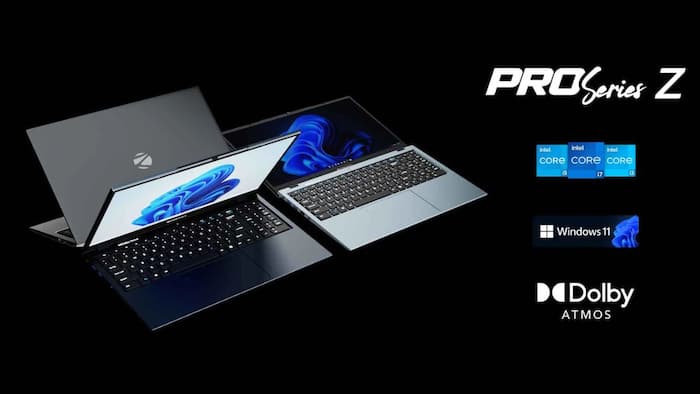 Zebronics Pro Series Y