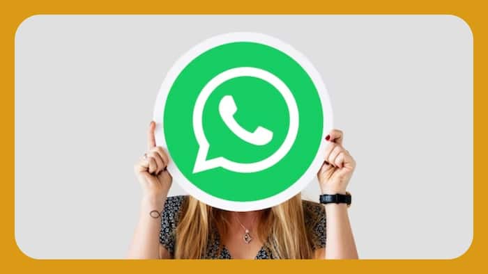 whatsapp (10)