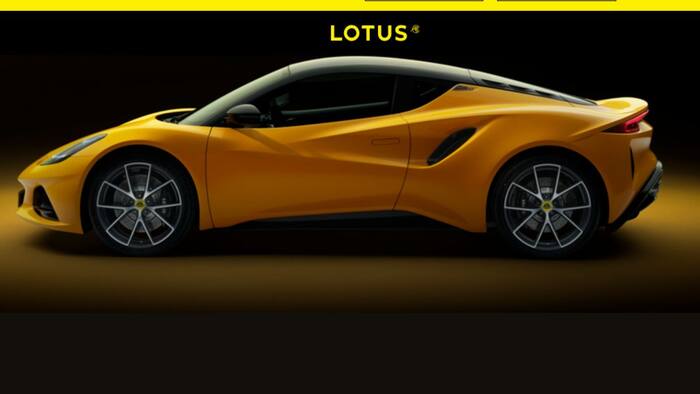 Lotus emira