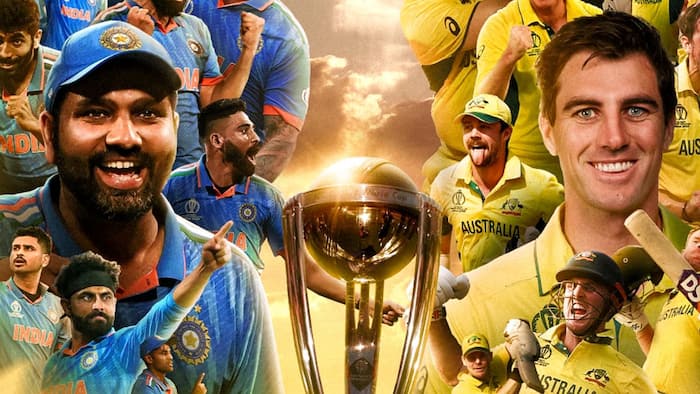India is playing Australia in the World Cup final.