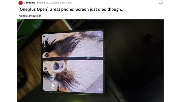 OnePlus Open showing dead pixels for a user (Image: Reddit)