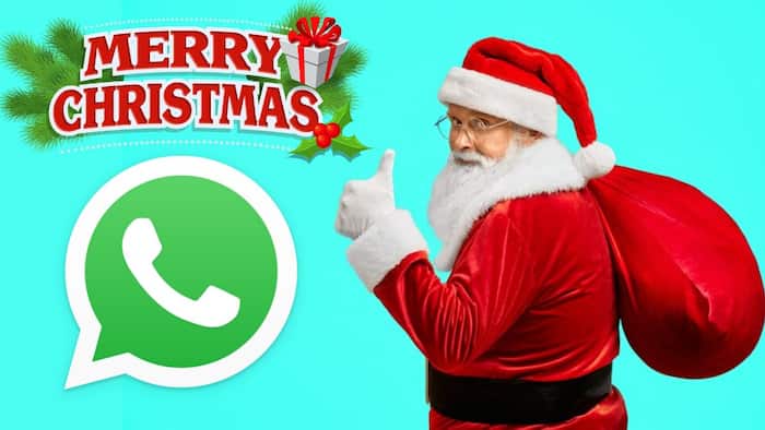 Merry Christmas stickers