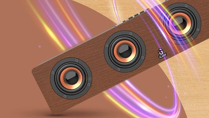i GEAR Ensemble 20 watts Wooden Portable Soundbar