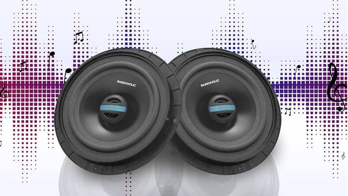 Bassoholic