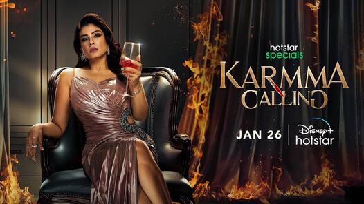 Disney+ Hotstar January 2024 recap: Never Say Never With Jeff Jenkins, Echo, and more