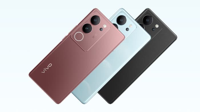 Vivo 1