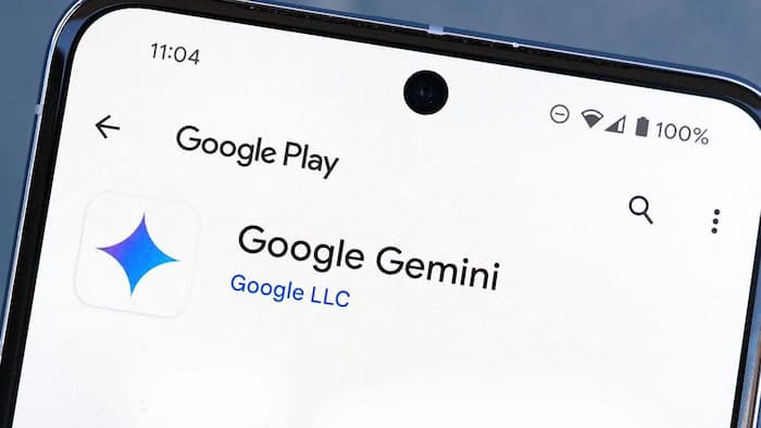 Google Gemini AI