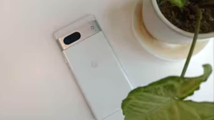 Google Pixel 7 Camera