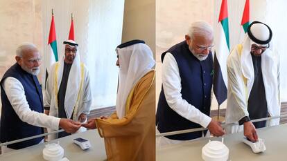 UPI RuPay कार्ड से अब UAE में भी कर सकेंगे पेमेंट, PM Modi ने सर्विस का किया शुभारंभ