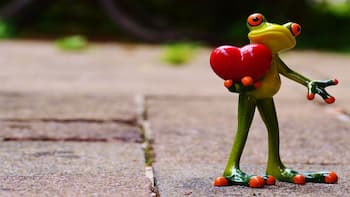 Valentine's Day 2024: How to send stickers, GIFs on WhatsApp