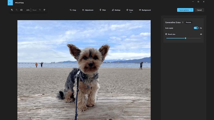 Windows Photos AI