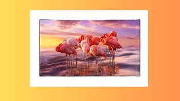 Amazon Fab TV Fest: Top deals to check out on 55-inch smart TVs