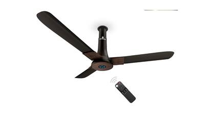 Amazon finds: Top deals on smart ceiling fans to check out