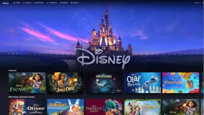 Disney Plus is ready to boot freeloaders this summer.