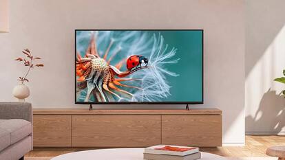 Amazon Offers: 43 इंच वाले ब्रांडेड स्मार्ट टीवी पर ऑफर की भरमार, मिल रहा बंपर Discount