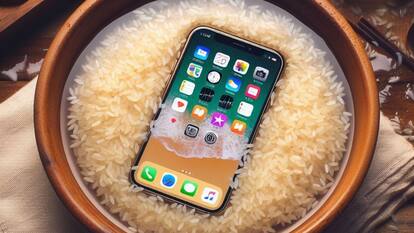 Apple says don't put your wet iPhone in a rice bag, it's harmful