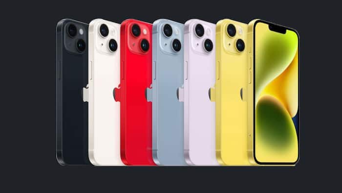 iPhone 14 Plus model