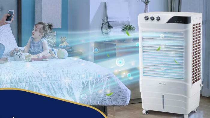 Bajaj DMH 65 Neo Cooler