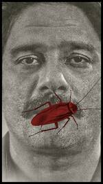 techlusive.in webstories